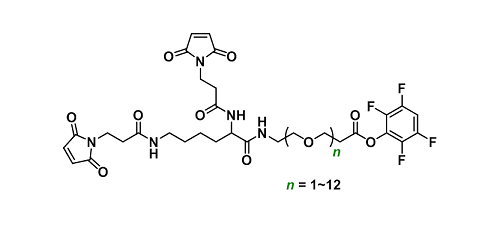 Bis-Mal-Lysine-PEGn-TFP ester-